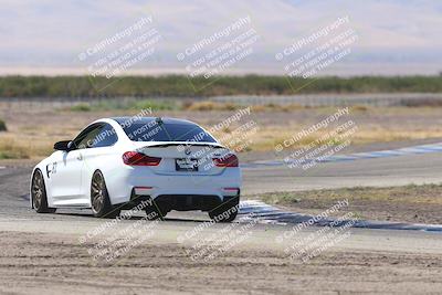 media/Oct-04-2025-OnGrid (Sat) [[44bd565ffa]]/Green Group/Grapevine/